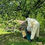 Kazeta Ankaran * Zgornje Skofije