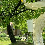 Kazeta Ankaran * Zgornje Skofije