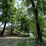 Kazeta Ankaran Zgornje Skofije