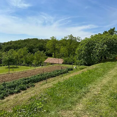 Kazeta Ankaran 別荘 スポージニ・スコーフィ