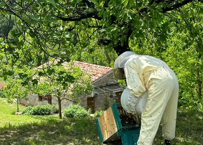 Kazeta Ankaran * Zgornje Skofije