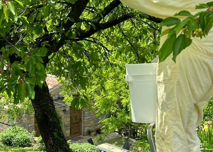 Kazeta Ankaran * Zgornje Skofije