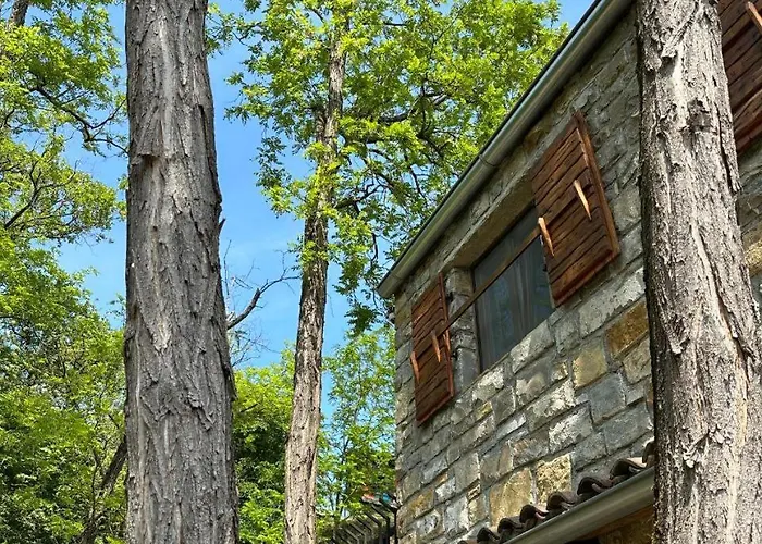 Kazeta Ankaran Zgornje Skofije